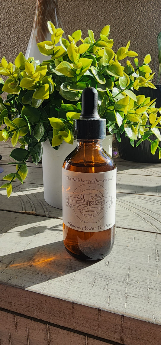 Mimosa Flower Tincture
